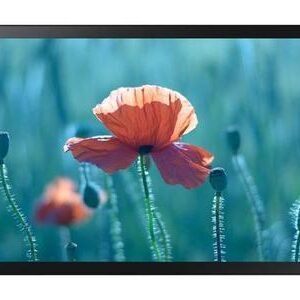 MONITOR TACTIL SAMSUNG 24" QB24R-TB FHD 250Cd/m²16/7 SoCV6