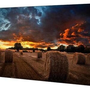 MONITOR VIDEOWALL SAMSUNG 55" VM55B-U 3,5mm 24/7 500Cd/m² sin SoC
